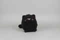 GATO ADORABLE COLOR NEGRO